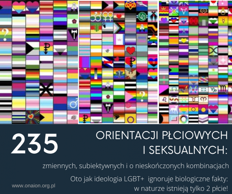 Instytut Ona I On 235 Orientacji PŁciowych I Seksualnych